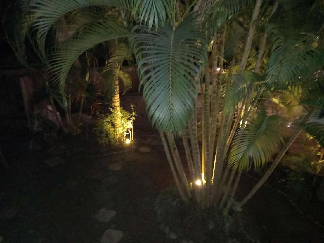 Oasis Palms Hotel Nadi Zewnętrze zdjęcie